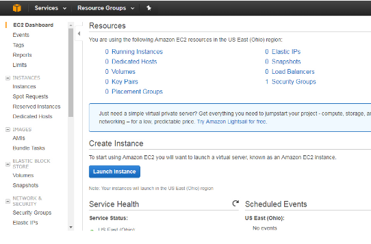 Дедик Amazon 2.png