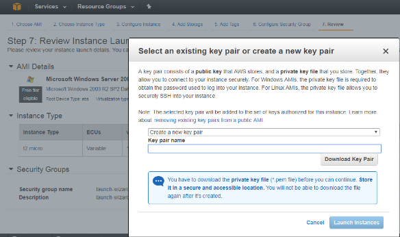Дедик Amazon 3.png