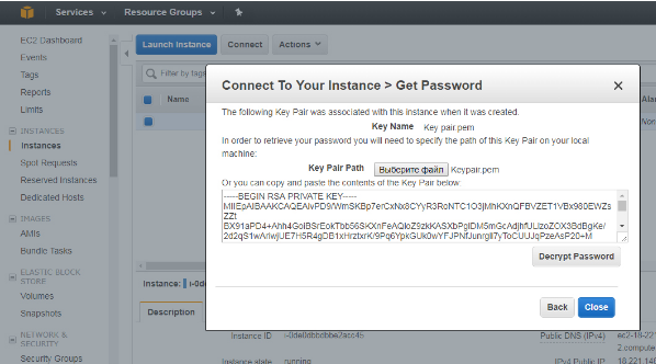 Дедик Amazon 5.png