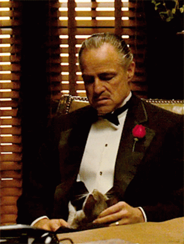 godfather-respect.gif