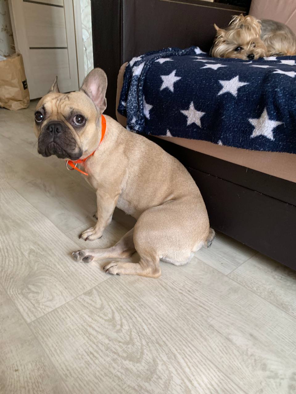 Теперь они вместе.jpg