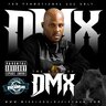 DMX-29